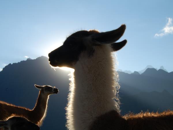 Peru tour, tailor made
