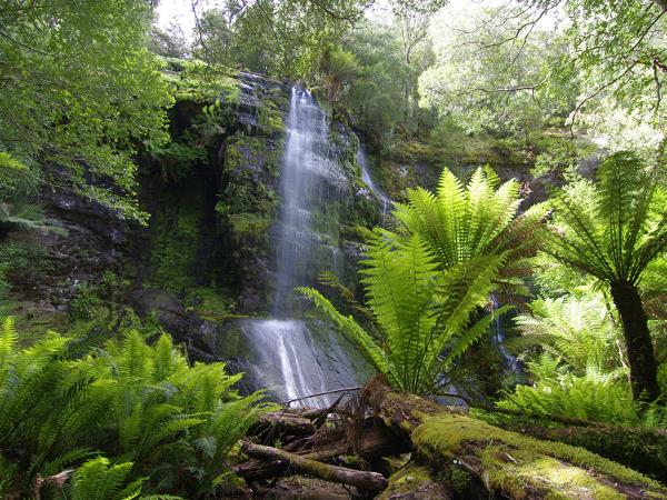 Tasmania wilderness walking vacation, Australia