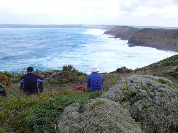 The Great South West Walk in Victoria, Australia