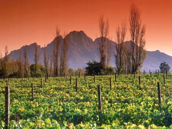 Classic South Africa self drive vacation