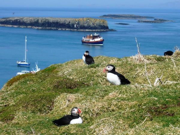 Isle of Mull and west coast of Scotland cruise