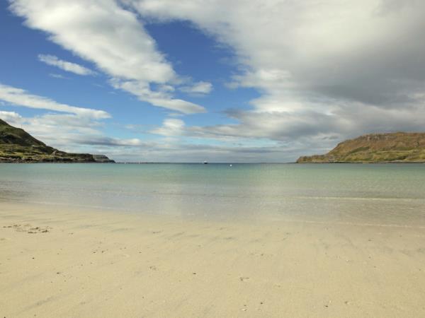 Isle of Mull wildlife cruise in Scotland