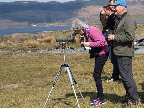 Isle of Mull wildlife cruise in Scotland