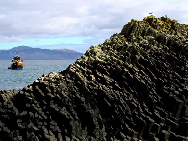 Isle of Mull wildlife cruise in Scotland