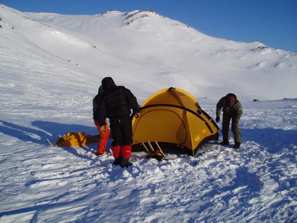 Antarctic Peninsula Cruises