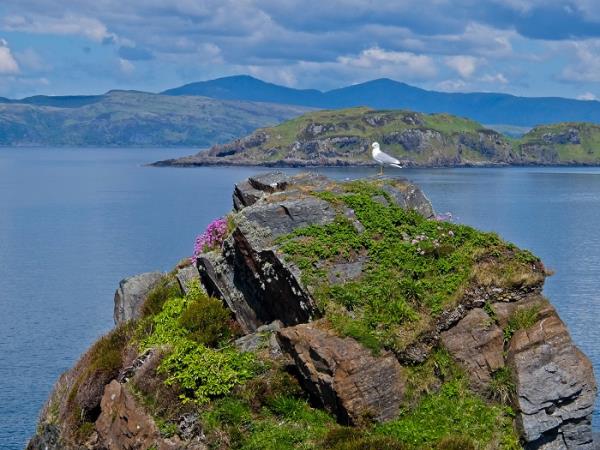 Southern Hebrides and Sea Lochs of Argyll cruise
