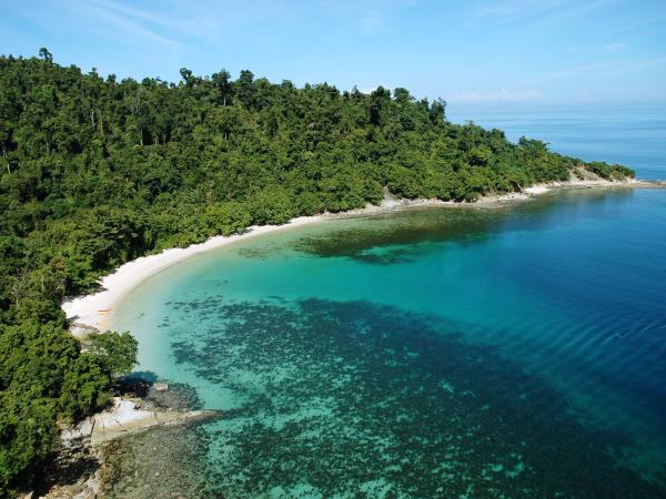 Luxury beach vacation in Borneo & Orangutans