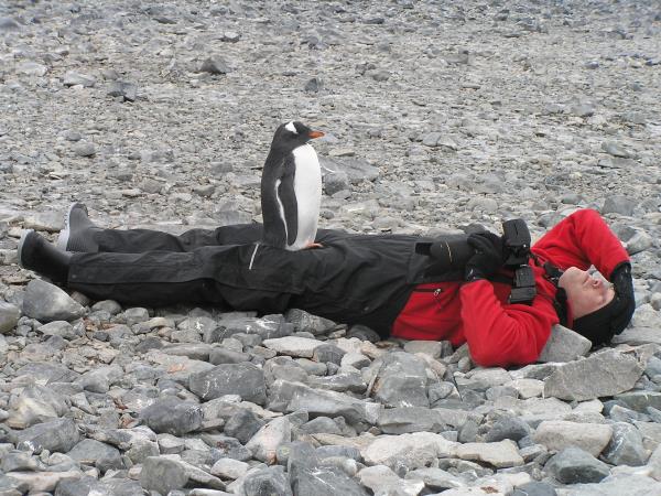 Antarctic diving expedition