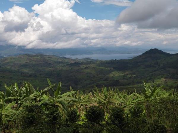 Gorilla safari & vacation in Rwanda, tailormade