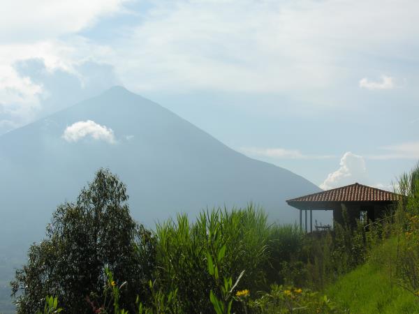 Gorilla safari & vacation in Rwanda, tailormade