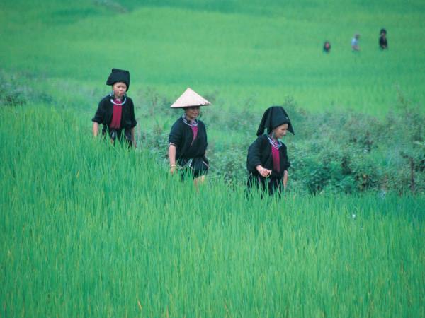 Vietnam hill tribes vacation, tailor made
