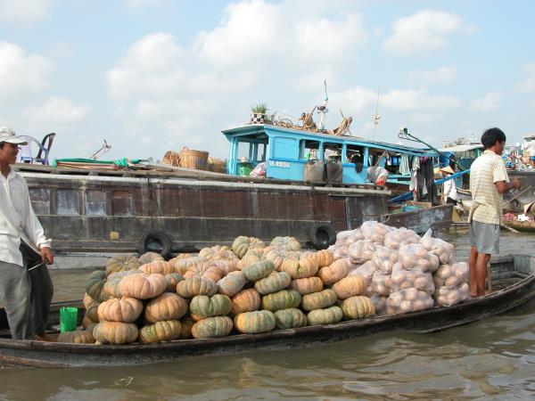 Hanoi to Saigon tailor made vacation, Vietnam
