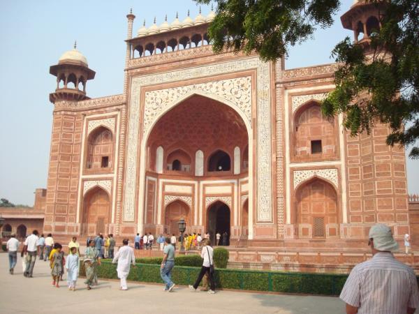 Golden Triangle & tigers in India