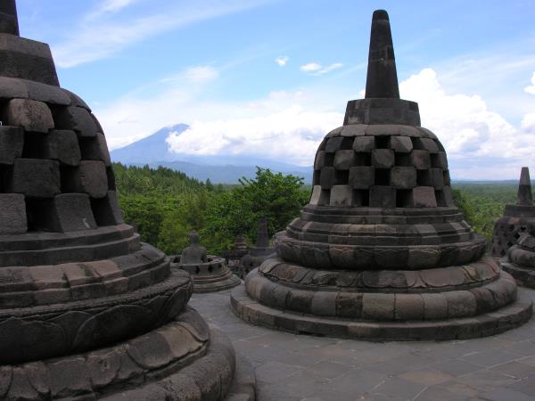 Indonesia vacation, orangutans and culture