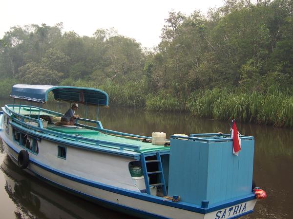 Indonesia vacation, orangutans and culture