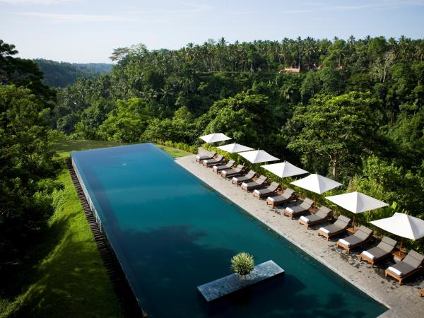 Indonesia vacation, orangutans and culture