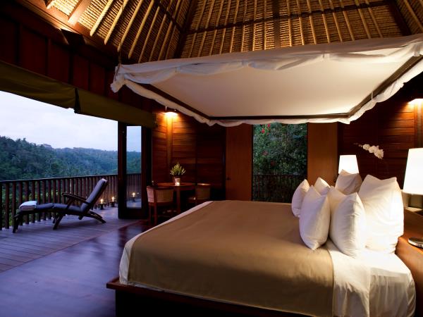 Indonesia vacation, orangutans and culture