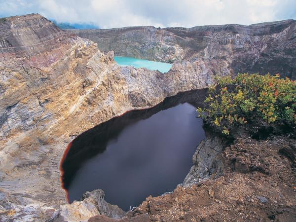 Komodo and Flores vacation in Indonesia