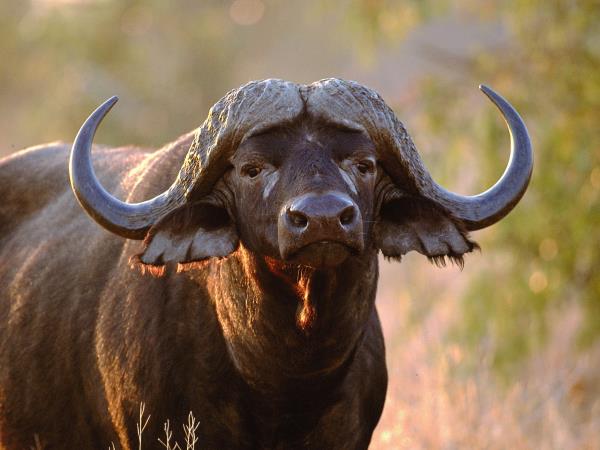 Kwa Zulu Natal self drive South Africa vacation