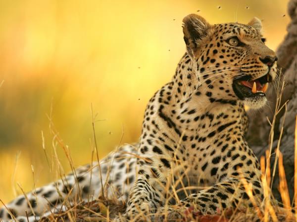 Kwa Zulu Natal self drive South Africa vacation
