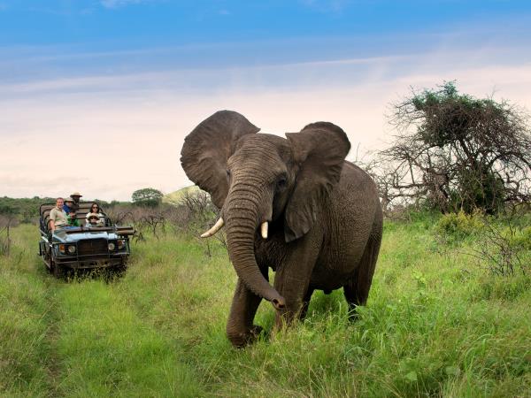 Kwa Zulu Natal self drive South Africa vacation