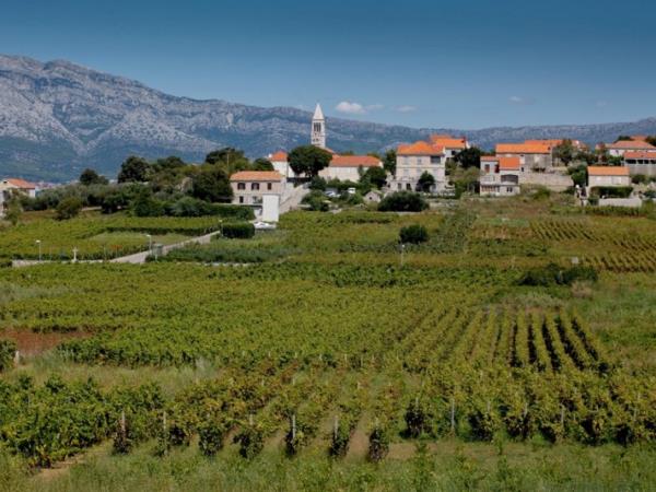 Island hopping vacation in Croatia