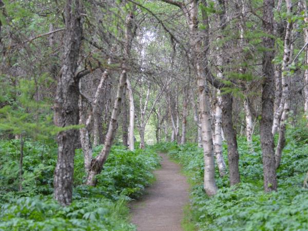 Myvatn Marathon running vacation, Iceland