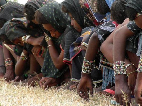 Gerewol Festival in Chad