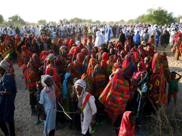 Gerewol Festival in Chad