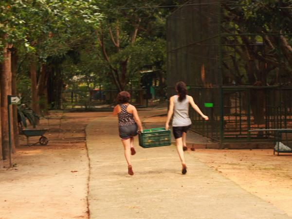 Volunteering Thailand, wildlife rescue centre