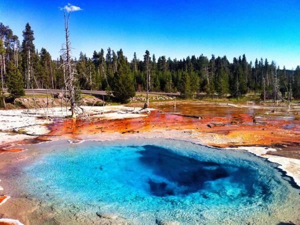 Self drive tour of the National Parks of America