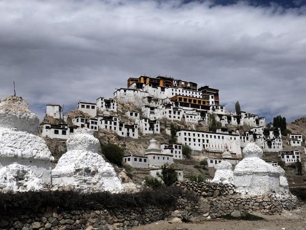 Snow leopard tour in Ladakh, India