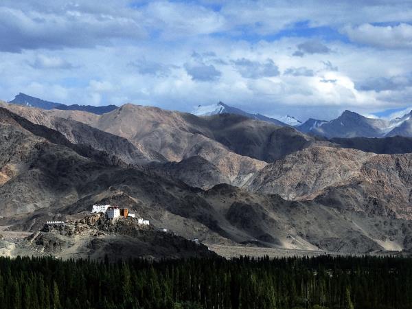 Snow leopard tour in Ladakh, India
