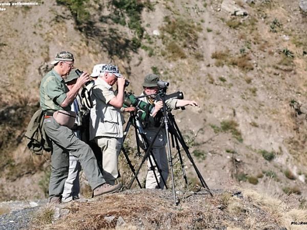 India bird watching vacation in the Himalayas