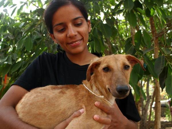 Animal rescue volunteering in India