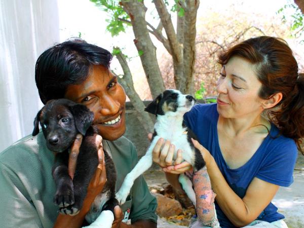 Animal rescue volunteering in India