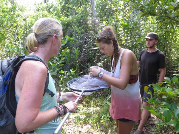 Madagascar conservation volunteering vacation