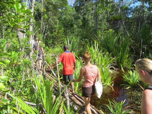 Madagascar conservation volunteering vacation