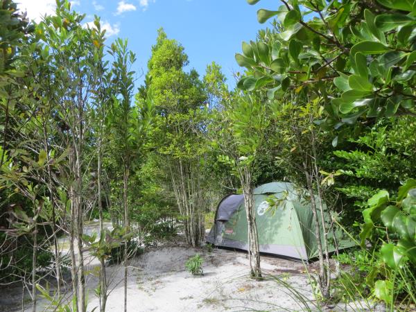 Madagascar conservation volunteering vacation