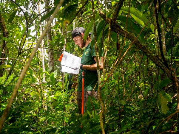 Jungle conservation & research, Peru