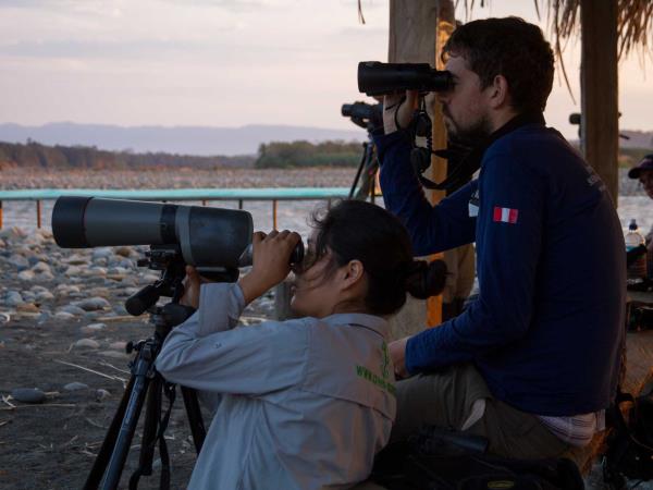 Jungle conservation & research, Peru