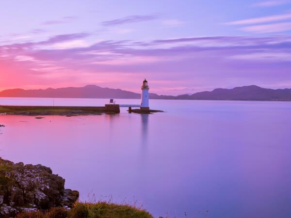 Wildlife vacation in the Isle of Mull, Scotland