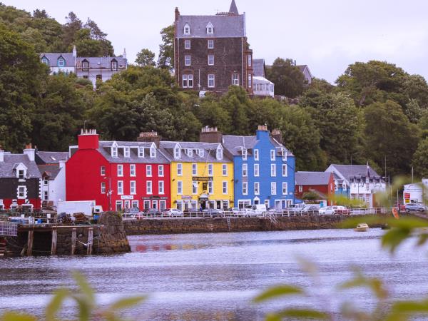 Wildlife vacation in the Isle of Mull, Scotland