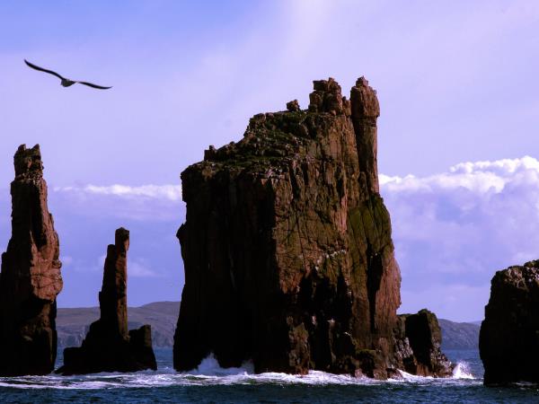 Orkney & Shetland self drive holiday, Scotland