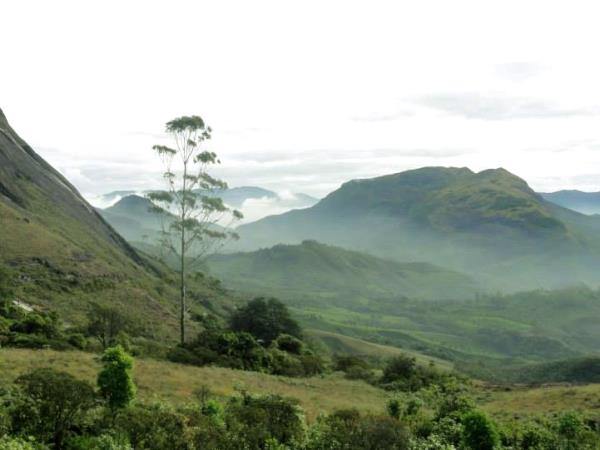 Walking and cycling vacation in Kerala, India