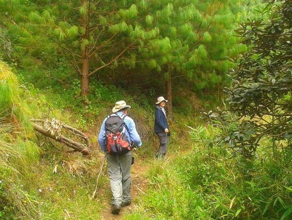 Walking and cycling vacation in Kerala, India