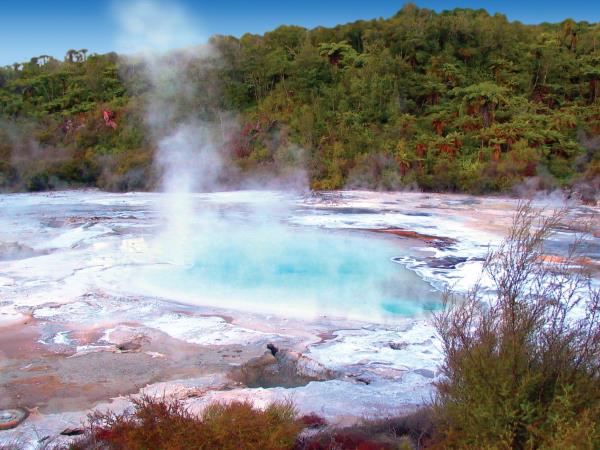 Nature tour in New Zealand