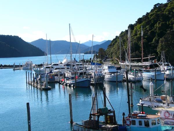 Nature tour in New Zealand