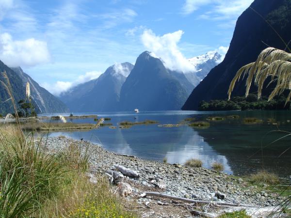 Nature tour in New Zealand