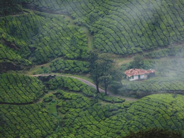 Kerala tailor made vacation